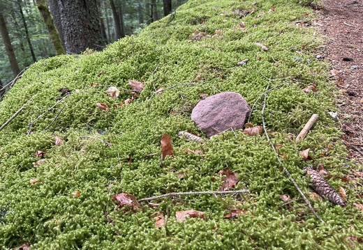 22-05-29 12-01-00 0956